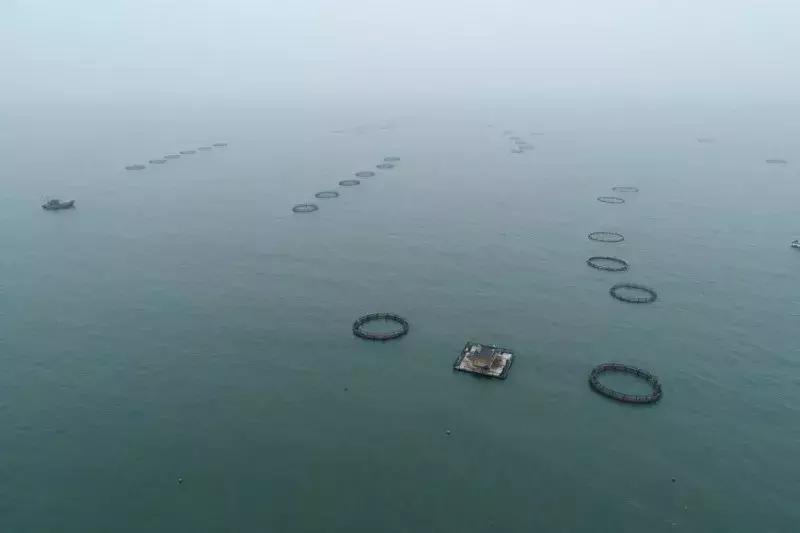 依米小姐姐:在海里用餐,是一种怎样的体验?!