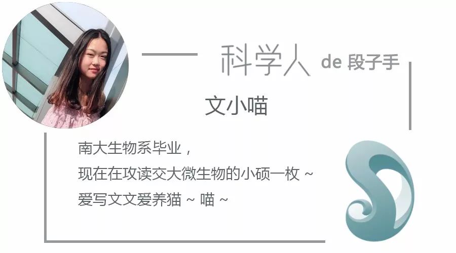 对付猪队友,对付小猪最好的办法