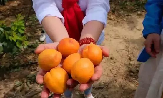 母亲节带老妈来赏花,母亲节带妈妈去公园