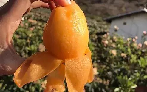 母亲节带老妈来赏花,母亲节带妈妈去公园