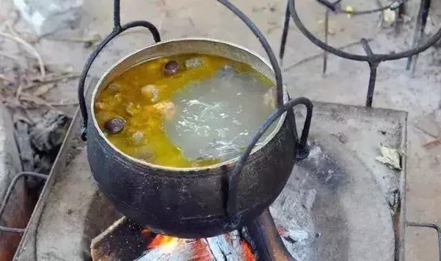 母亲节带老妈来赏花,母亲节带妈妈去公园