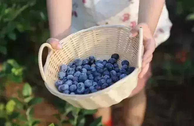 母亲节带老妈来赏花,母亲节带妈妈去公园