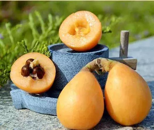 母亲节带老妈来赏花,母亲节带妈妈去公园