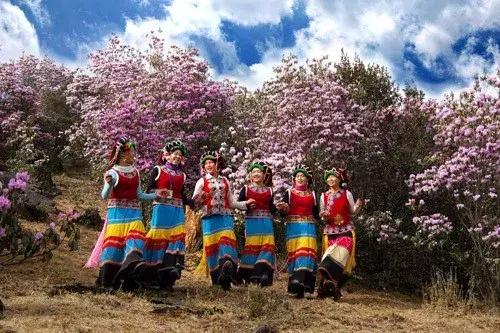 母亲节带老妈来赏花,母亲节带妈妈去公园