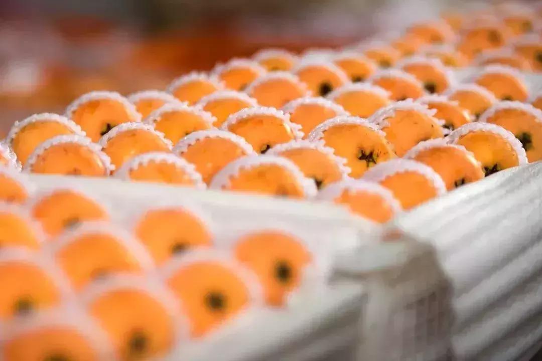 母亲节带老妈来赏花,母亲节带妈妈去公园