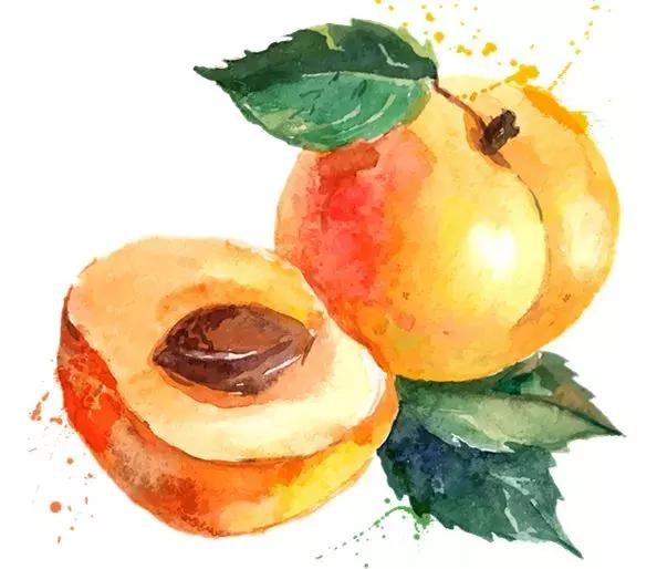 母亲节带老妈来赏花,母亲节带妈妈去公园