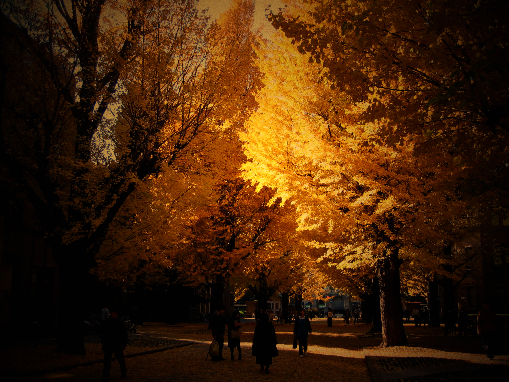世界名校介绍——日本东京大学（TheUniversityofTokyo）