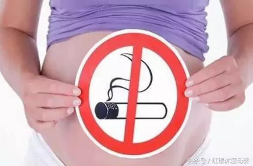 孕期指南免费,孕期指南大全