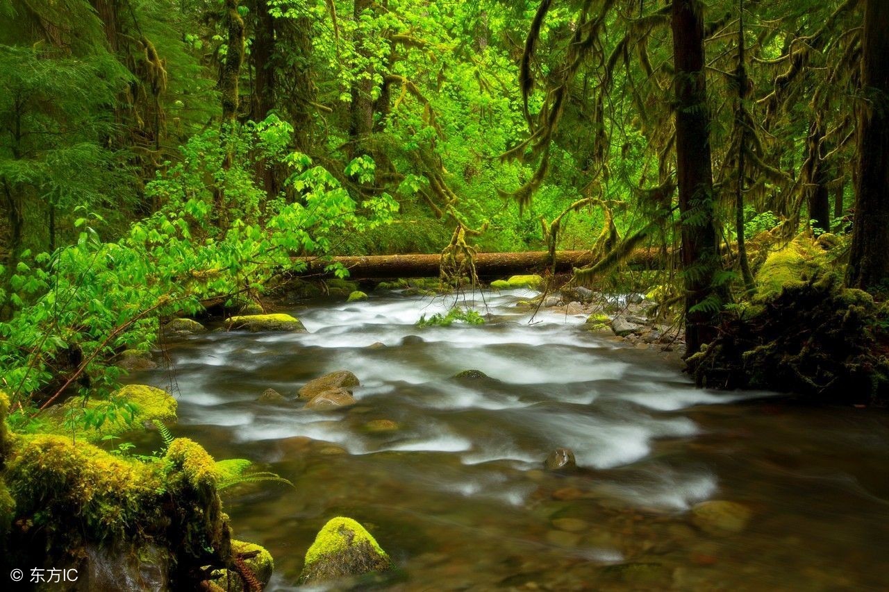 下阴（原作者：张小河）