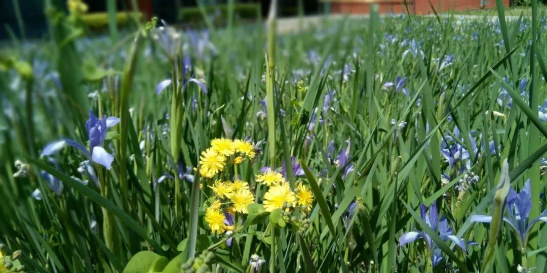 国美s7,国美手机s7价格