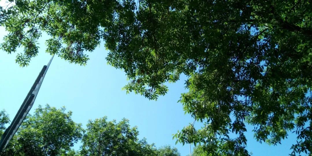 国美s7,国美手机s7价格