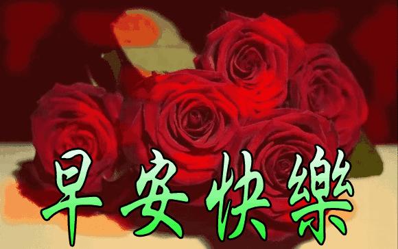早安鲜花美图图文,最新鲜花早安动态图片