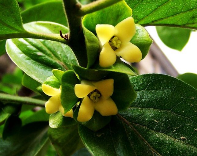 美文美图视频朗读,美文美图欣赏集锦