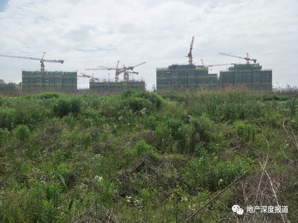 紫金9号1期房价多少钱一平方,紫金九号小户型房价