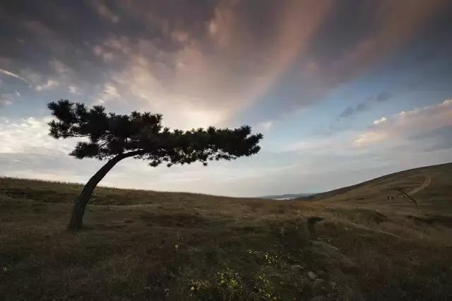 南京江北坝上草原游玩攻略,南京坝上草原自驾游攻略