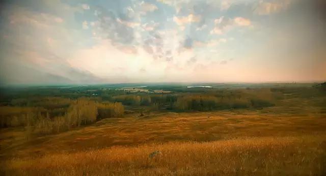 南京江北坝上草原游玩攻略,南京坝上草原自驾游攻略