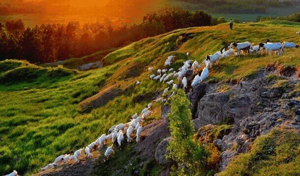 南京江北坝上草原游玩攻略,南京坝上草原自驾游攻略