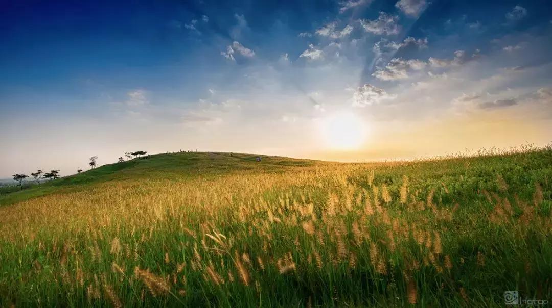 南京江北坝上草原游玩攻略,南京坝上草原自驾游攻略