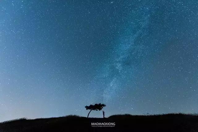 南京江北坝上草原游玩攻略,南京坝上草原自驾游攻略