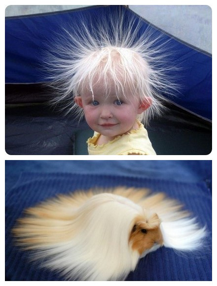 那么多去油去屑防枯草的洗发水，总有一款适合你