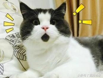 京东网购得假酒，唯品会买电饭锅成砖头？是人为，还是人为啊？