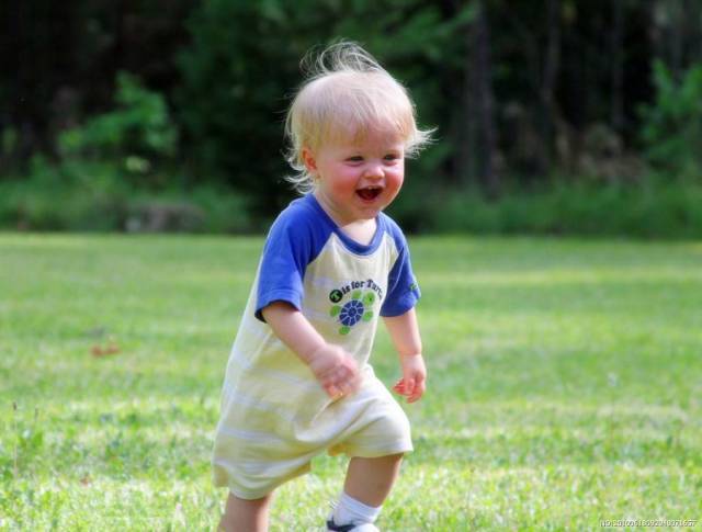 婴儿早教0-6个月早教合集,婴儿早教0-6个月早教大全