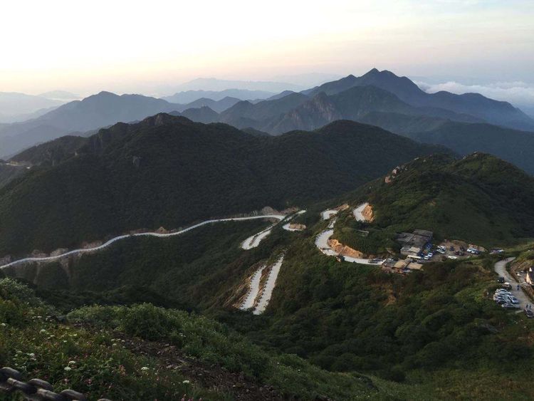 开车路上遇到蛇被轧死,开车碾死一条蛇有什么征兆