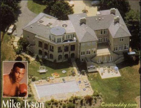 10个泰森力量有多大,100个泰森打十个霸王龙