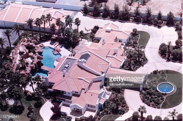 10个泰森力量有多大,100个泰森打十个霸王龙