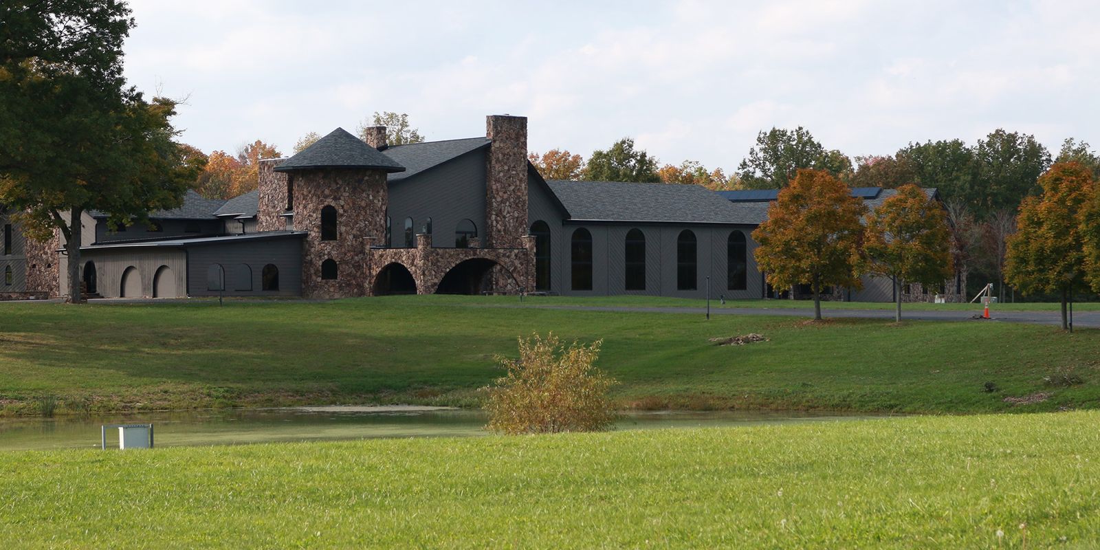 10个泰森力量有多大,100个泰森打十个霸王龙