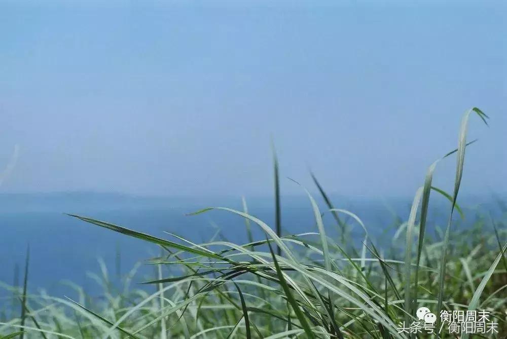 媲美济州岛,秒杀北爱尔兰,厦门旁这座世界级火山岛,竟没人知道