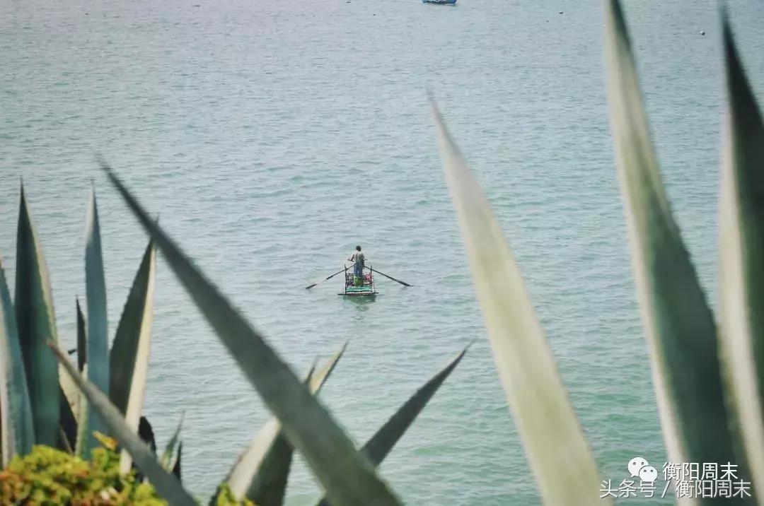 媲美济州岛,秒杀北爱尔兰,厦门旁这座世界级火山岛,竟没人知道