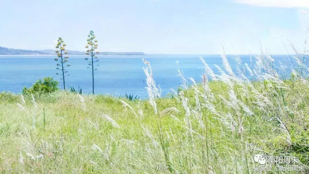 媲美济州岛,秒杀北爱尔兰,厦门旁这座世界级火山岛,竟没人知道