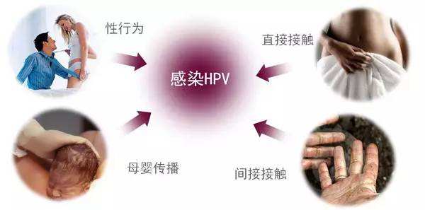 过了25岁，HPV疫苗接种就没用了？