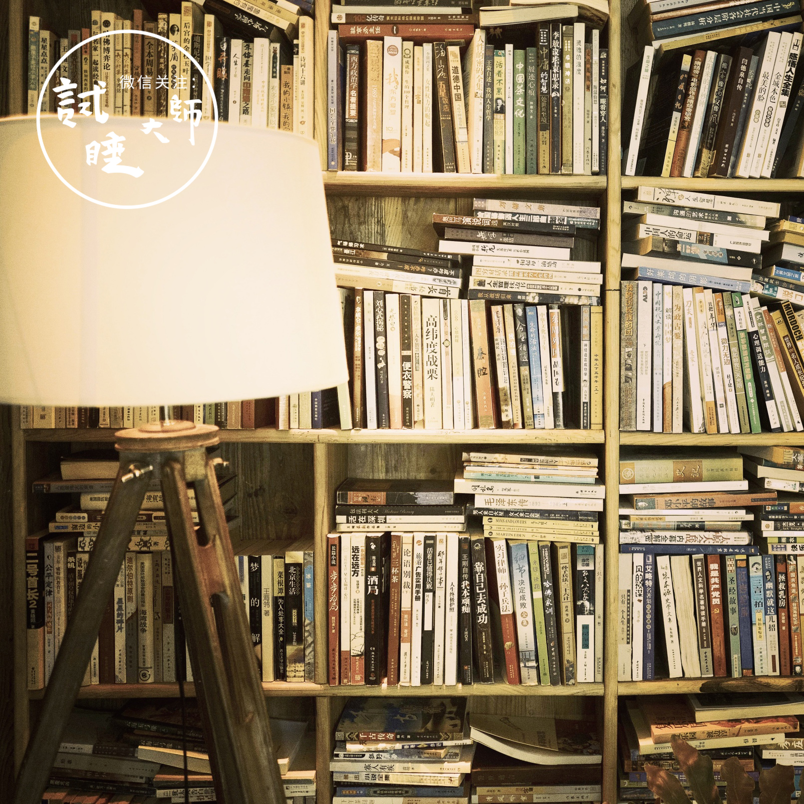 西塘古镇高级民宿推荐,西塘古镇古色古香民宿