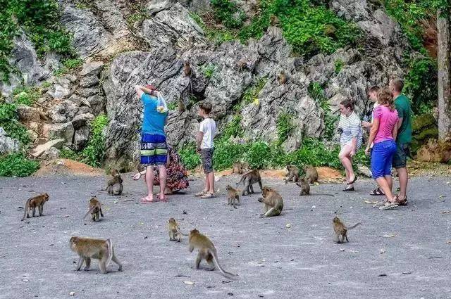 泰国普吉岛旅游攻略及费用,泰国旅游普吉岛攻略