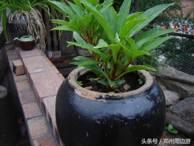 徒步马武寨,徒步南太行之穿越马武寨大峡谷