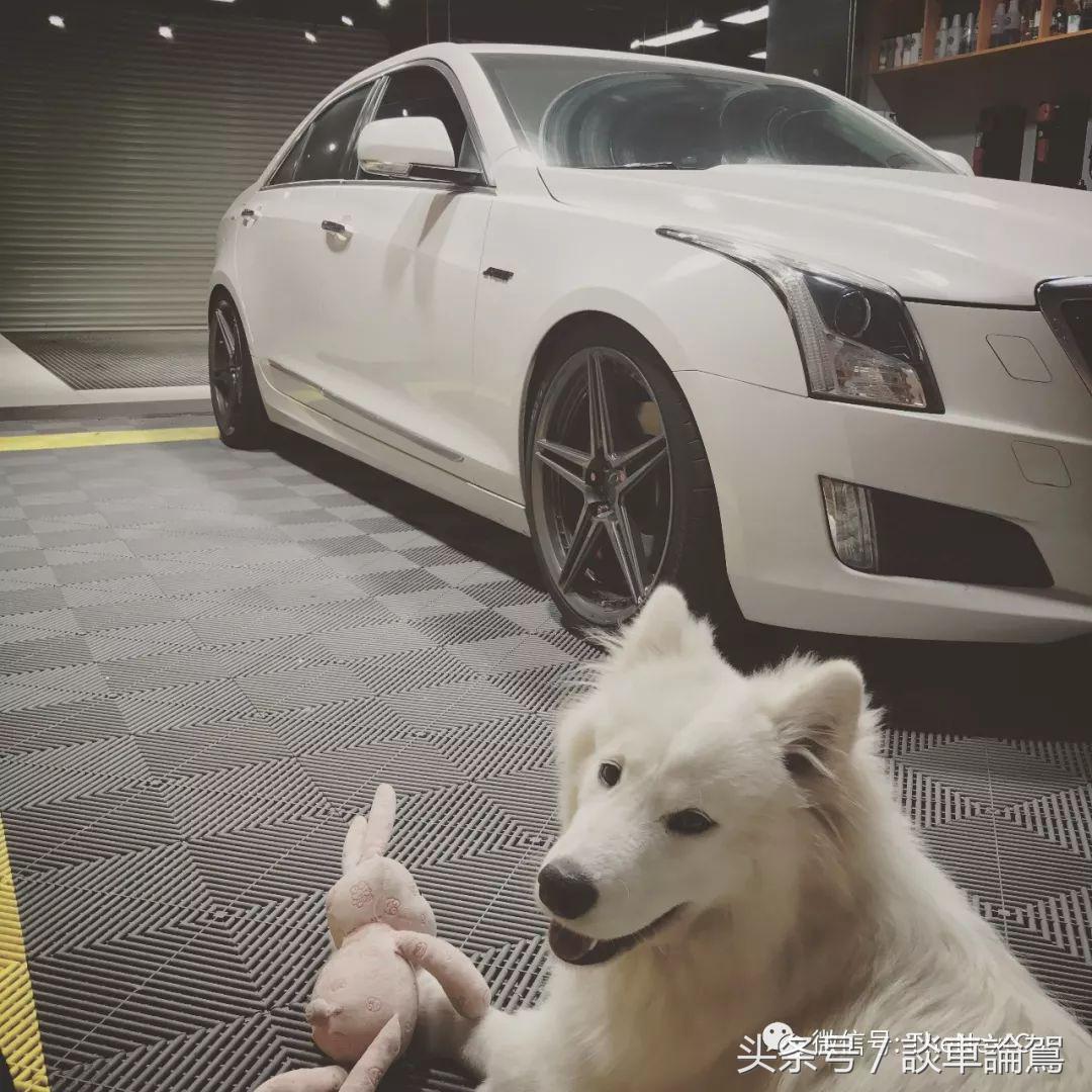 ats-l改装座椅颜色推荐,2017款atsl改装