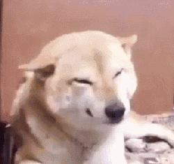 扎心了,老铁!上海上班族日常歧视链……