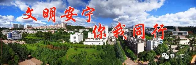 「今日要闻」何刚率队再次到安宁开展稳增长抓落实促发展调研督查