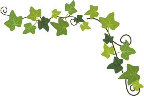 痛经暖宫贴调理宫寒,痛经贴调理宫寒月经不调有效办法