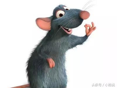 冷知识：上海是购买套套最便宜的地方！纽约的自杀人数高于他杀！