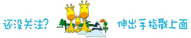 兰州公交车怎么扫码乘车最优惠,兰州公交车所有线路实现扫码乘车