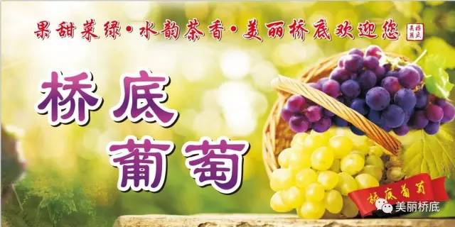 一寺一校一画院——石桥中学新生记！