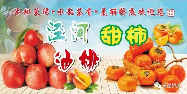 一寺一校一画院——石桥中学新生记！