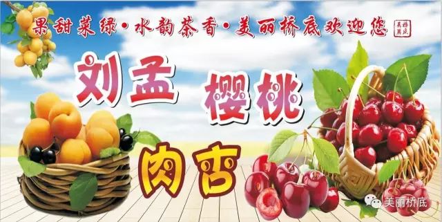 一寺一校一画院——石桥中学新生记！