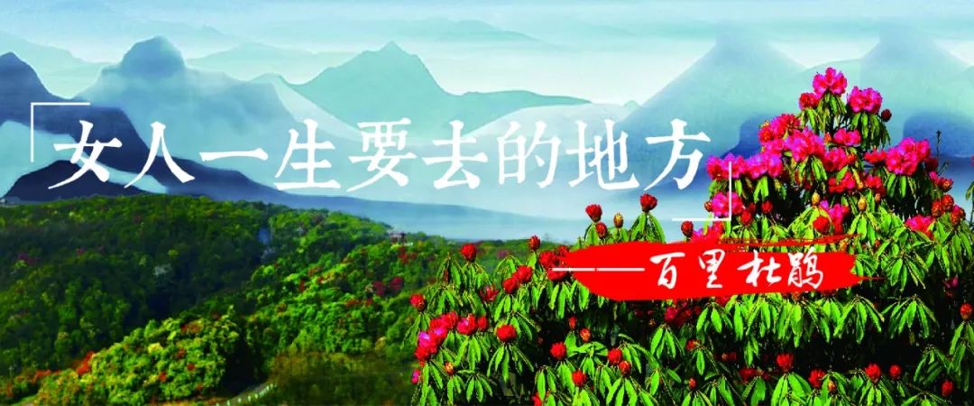 贵州什么季节最合适去旅行,未来三年贵州旅游攻略计划