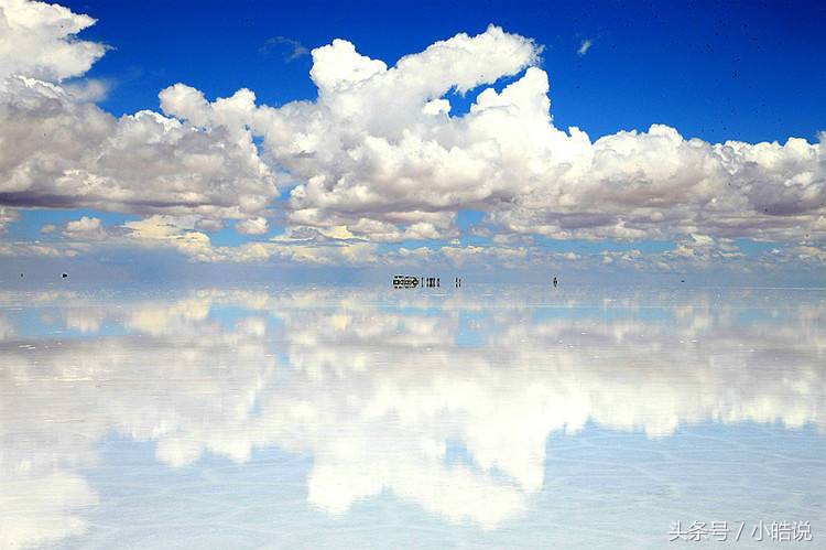 冷知识：上海是购买套套最便宜的地方！纽约的自杀人数高于他杀！