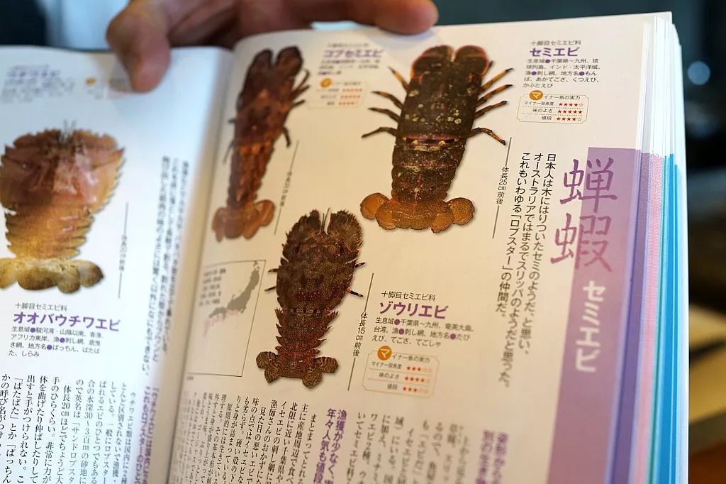 全国仅有的五家日料店 (日本便宜又实惠的日料店)