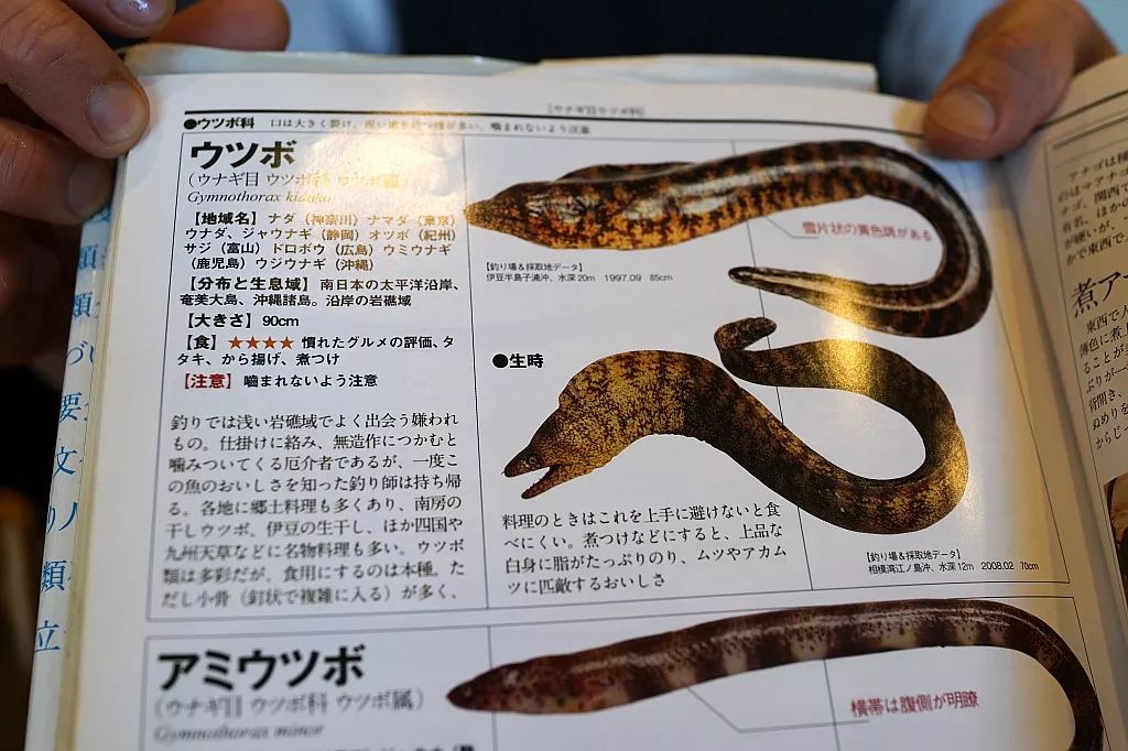 全国仅有的五家日料店 (日本便宜又实惠的日料店)